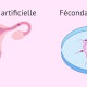 insémination artificielle et une FIV