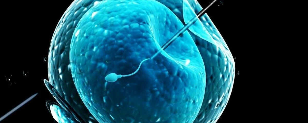 Procréation médicalement assistée en Tunisie